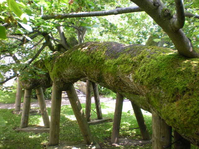 122 DSCN0748