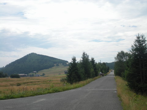 226 DSCN1965