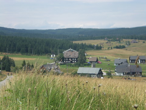 236 DSCN1981