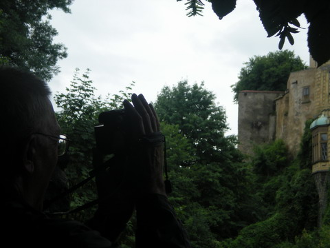 242 DSCN1993