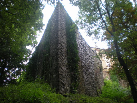 246 DSCN2001