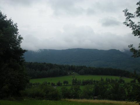 251 DSCN2009