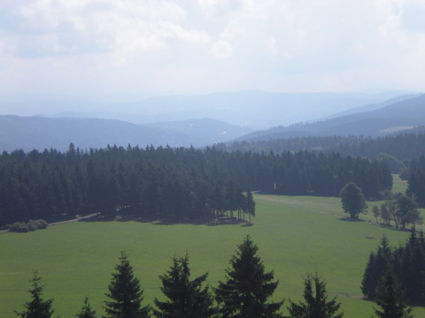 259 DSCN2034