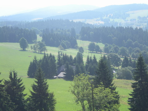 264 DSCN2029