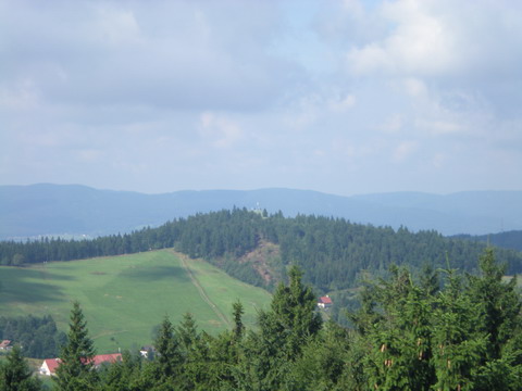 265 DSCN2031