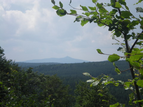 275 DSCN2045