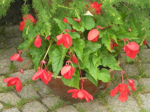 306 DSCN2144