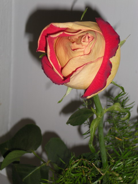 164 DSCN1169
