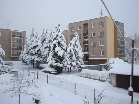 DSC00853