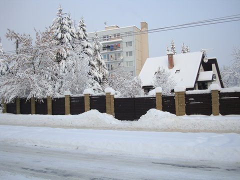 DSC00881