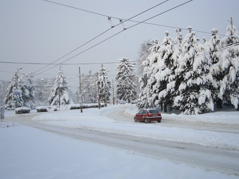DSC00882
