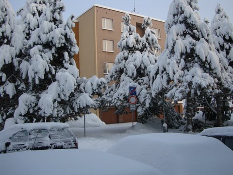 DSC00892