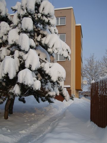 DSC00896