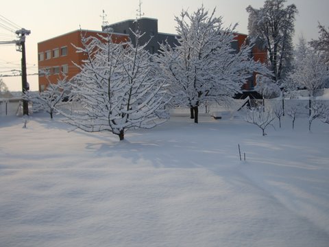 DSC00901