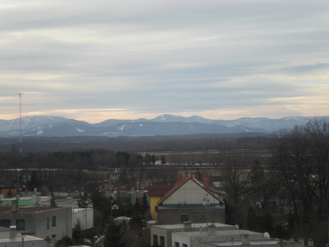 DSCN1419