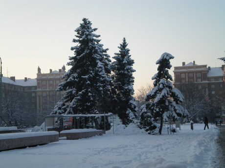 DSCN0098