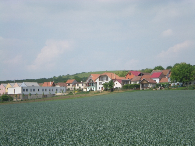 DSCN0568 (640x480)