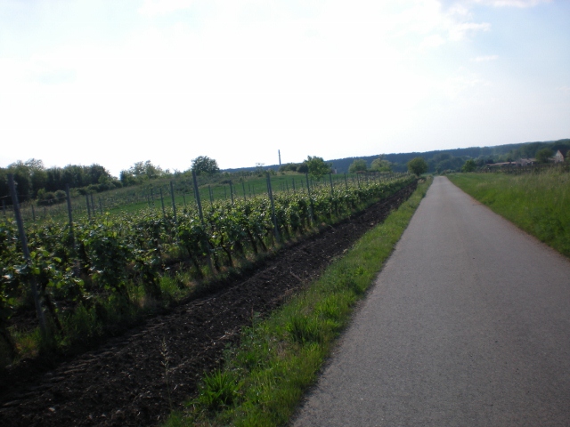 DSCN0636 (640x480)