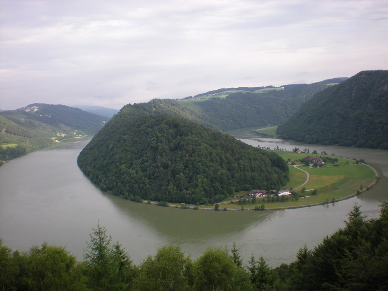 DSCN0702