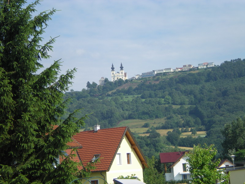 DSCN0861