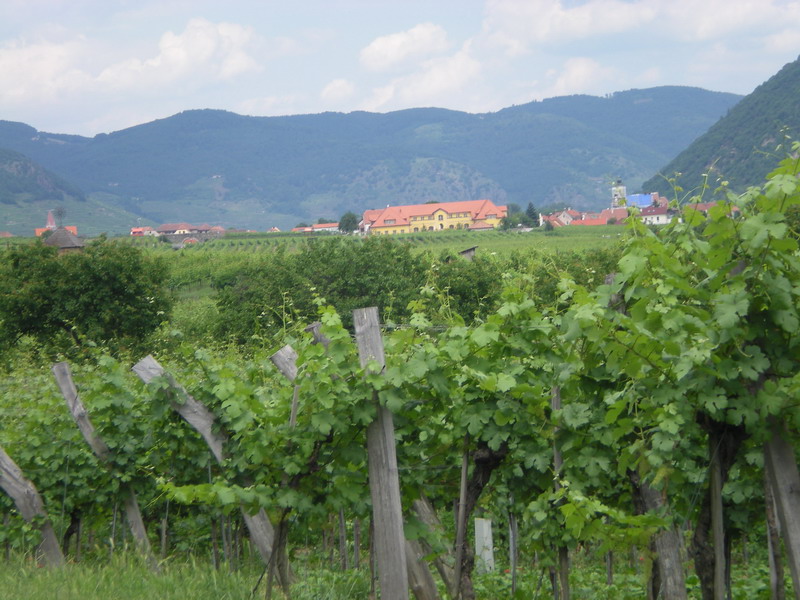 DSCN0942