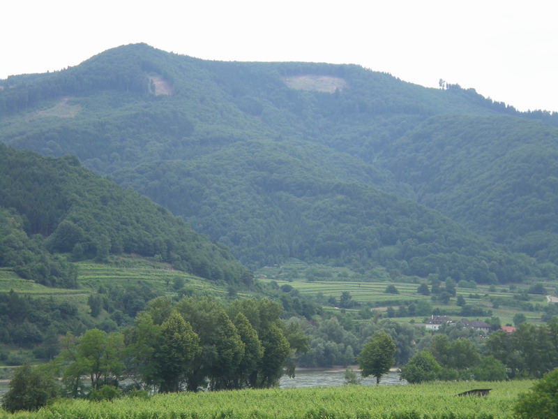 DSCN0946