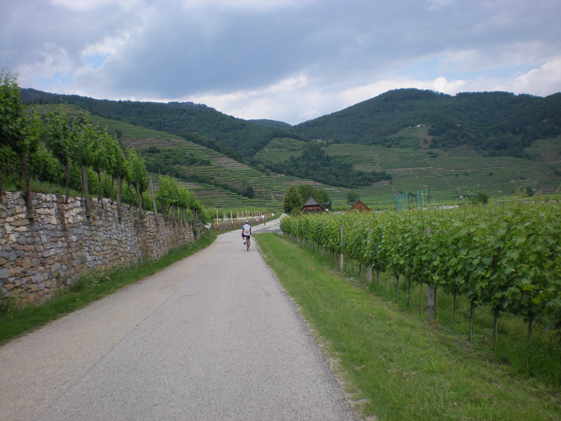 DSCN0953