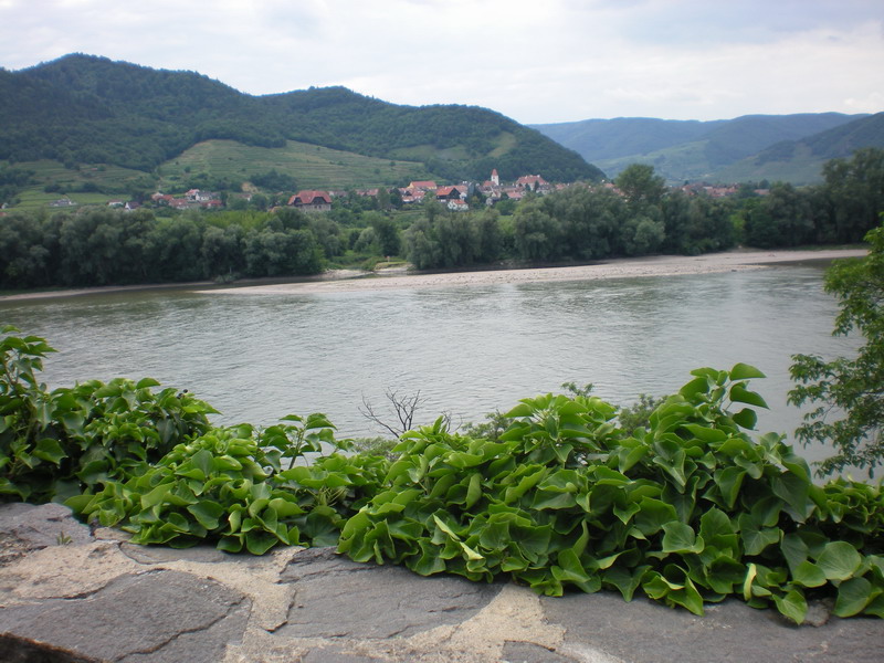 DSCN0958