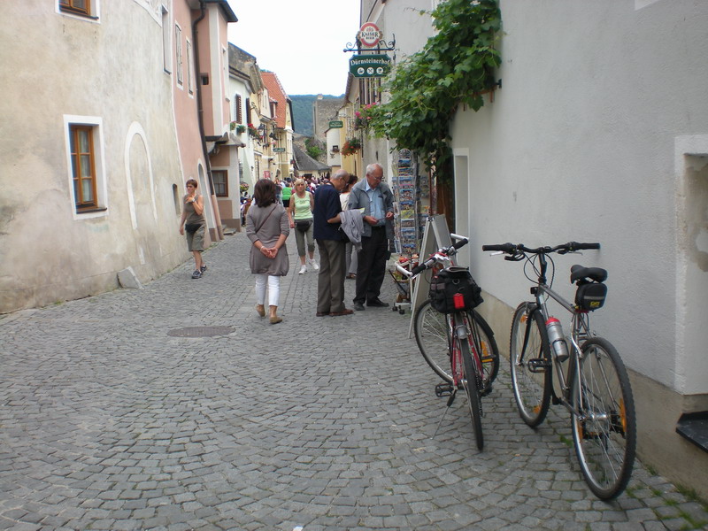 DSCN0964