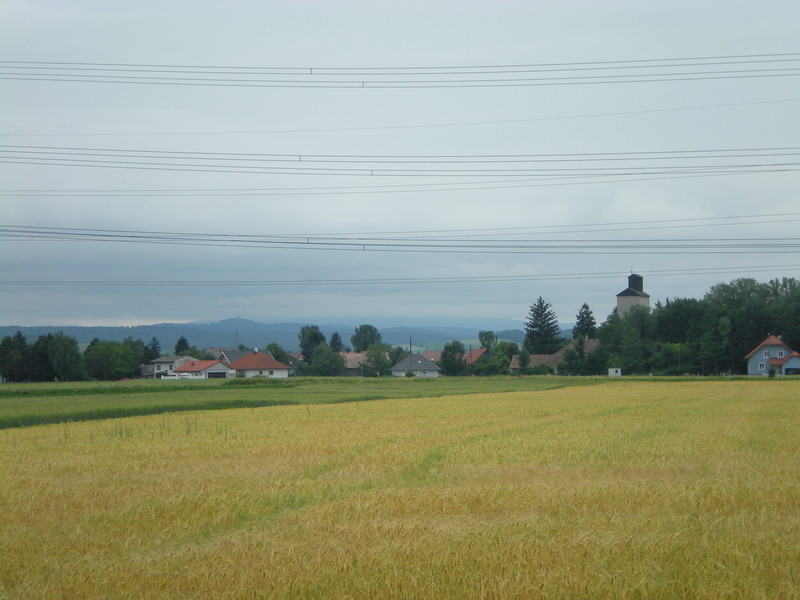 DSCN1025